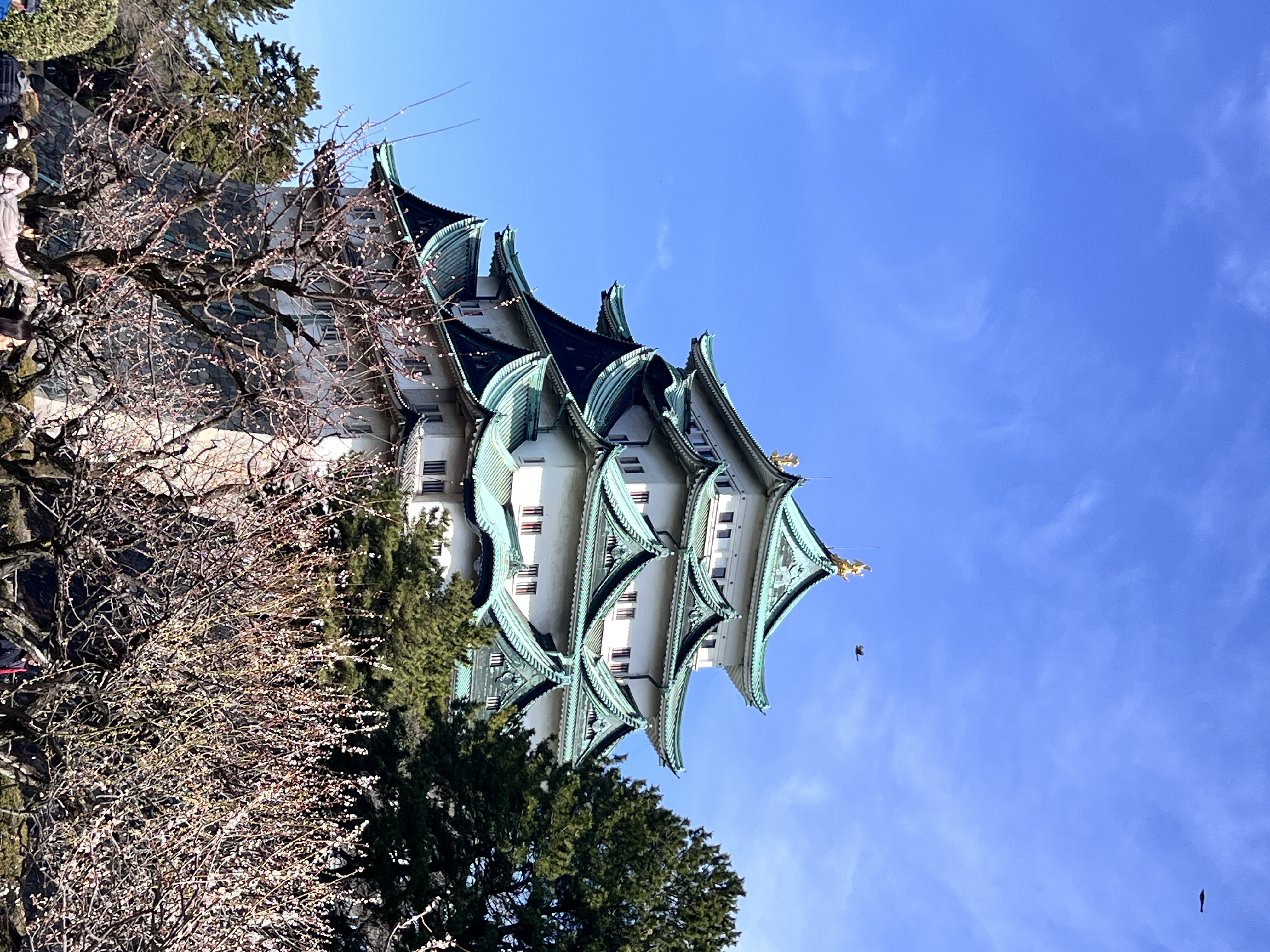 名古屋城 天守閣