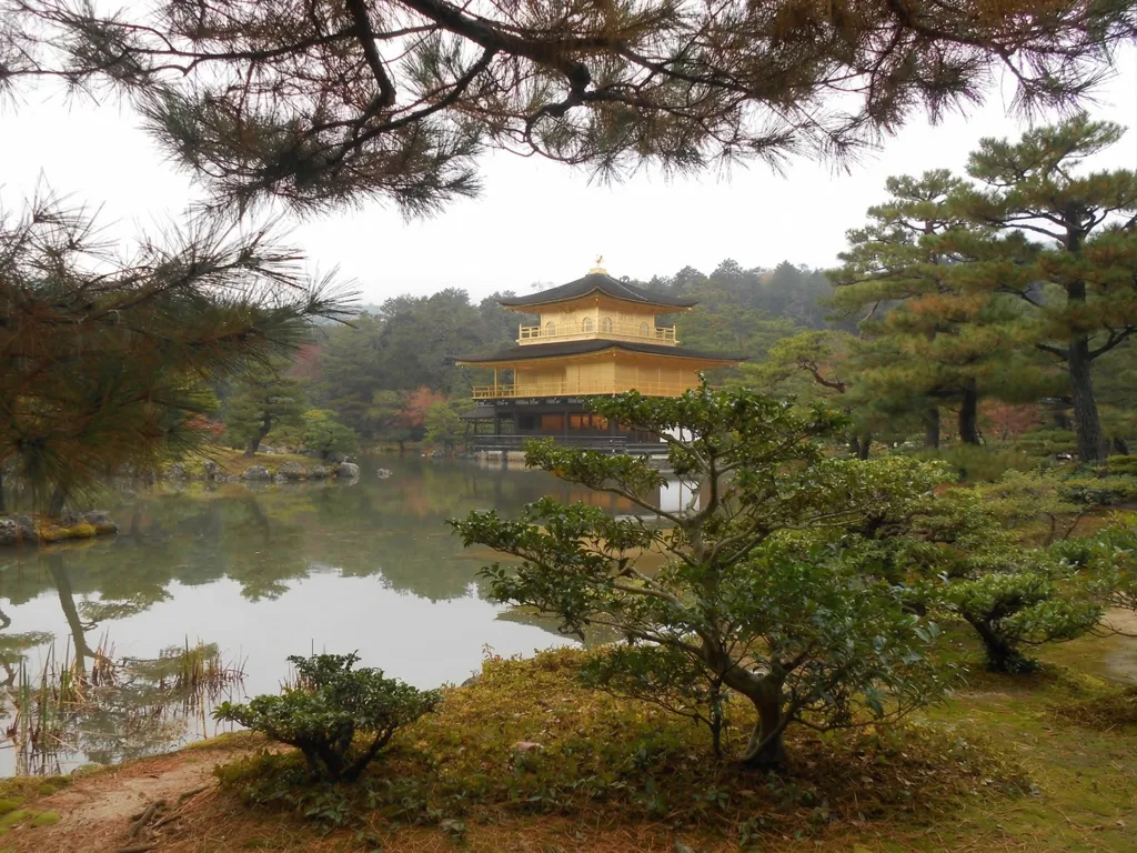 庭園から見た金閣寺全景